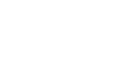 ALPINTOPO